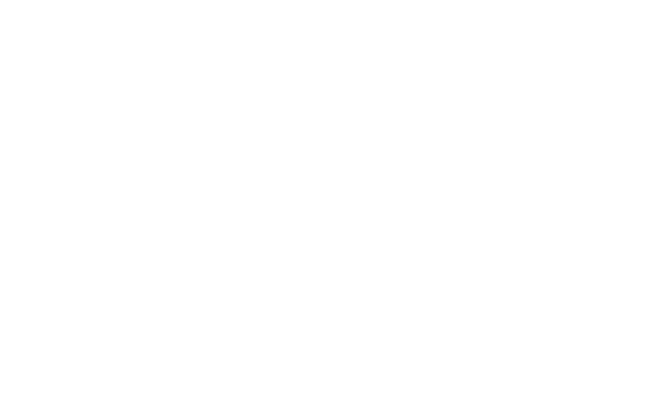Project（実践）、Passion（情熱）、Peer（仲間）、 Play（遊び）
